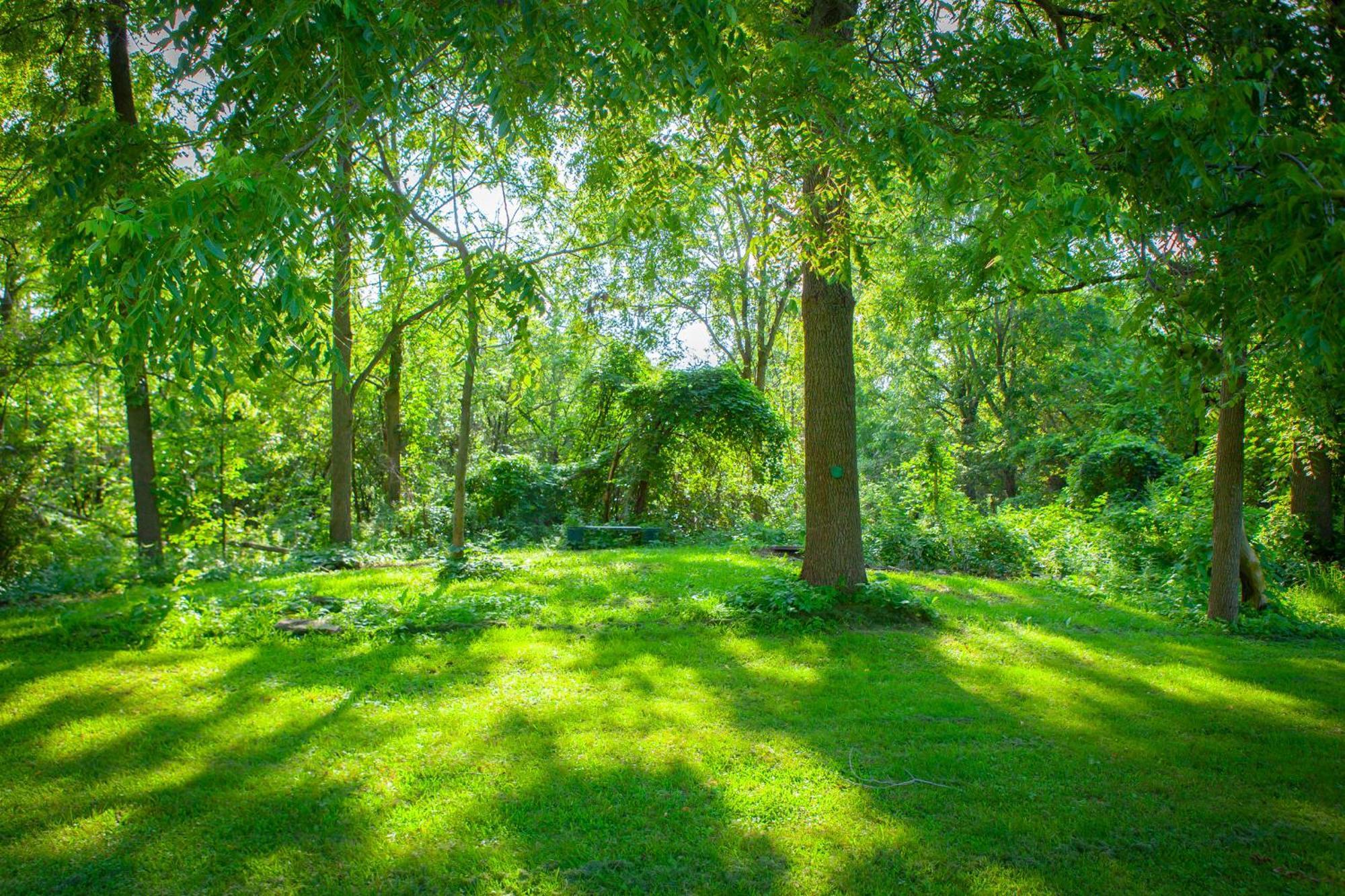 Dundas Nature Oasis Bar Room מראה חיצוני תמונה